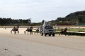 2015_Race 6 - 02